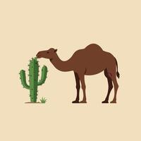 Camel eating cactus plant in desert environment simple illustration with neutral background vector