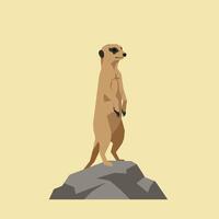Meerkat standing alert on rocky surface illustration in simple flat style with beige background vector