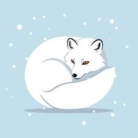 Arctic fox curled up in snowy winter scene with soft blue background and falling snow illustration vector