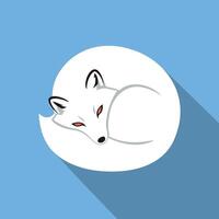 White fox curled up resting on blue background in minimalist illustration with flat shadow design vector