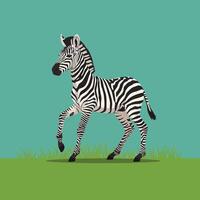 Zebra standing on green grass with blue sky background in flat style illustration vector