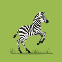 Zebra rearing up on green background with grass illustration in flat style vector