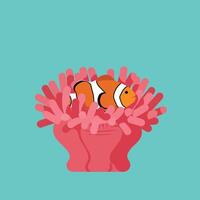 Clownfish swimming inside red sea anemone on turquoise background illustration vector