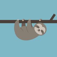 Sloth hanging on tree branch cartoon illustration with blue background and smiling facial expression vector