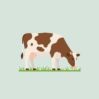 Brown and white cow grazing on green grass simple illustration in square layout vector