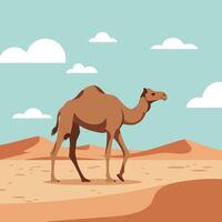 Camel walking in desert landscape with sandy dunes and blue sky illustration vector