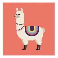 Llama with colorful blanket standing on coral background illustration in flat style vector