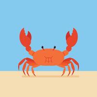Crab animal illustration with raised claws on sandy beach and clear blue sky background in flat design style vector
