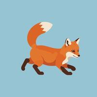 Red fox with white tail tip walking on blue background in simple style illustration vector