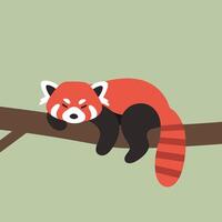 Red panda resting on tree branch with green background in simple flat design illustration vector