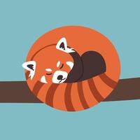 Red panda curled up sleeping on tree branch in simple colorful art style illustration vector