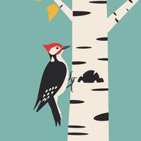 Woodpecker perched on birch tree trunk with autumn leaf and teal background digital illustration vector