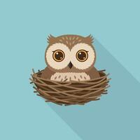 Cute owl sitting in nest with long shadow on blue background flat design illustration vector