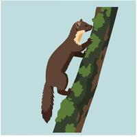 Brown marten climbing mossy tree trunk with light blue background in square format illustration vector