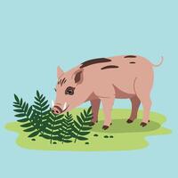 Young pig foraging green ferns on grassy patch with blue sky background in natural setting vector