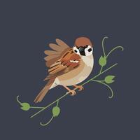 Sparrow bird perched on green branch with leaves and dark background natural wildlife scene vector
