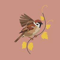 Sparrow bird perched on yellow autumn leaves branch against muted background in square format vector