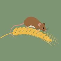 Brown mouse resting on golden wheat ear with muted green background in simple flat design illustration vector