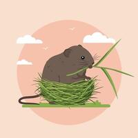 Brown mouse sitting in green grass nest eating a blade of grass with clouds and birds background square format vector