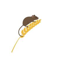 Brown mouse sitting on golden wheat stalk isolated on white background simple nature illustration with minimal colors vector