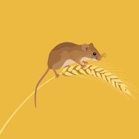 Small brown mouse sitting on golden wheat ear on yellow background in square format digital illustration vector