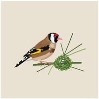 European goldfinch perched on green grass nest with beige background square orientation natural bird image vector