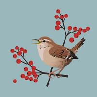 Wren Bird Singing On Branch With Red Berries Against Blue Background Natural Wildlife Scene vector