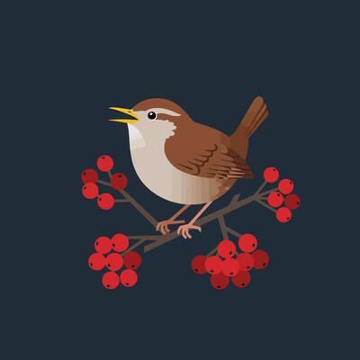 Small brown bird perched on red berry branch illustration with dark blue background natural wildlife scene