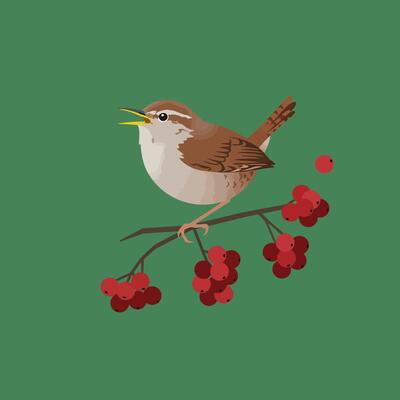 Small brown bird perched on berry branch singing with green background natural wildlife illustration