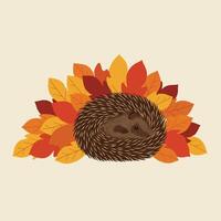 Hedgehog sleeping curled up on autumn leaves in warm orange and red tones simple nature illustration square format vector