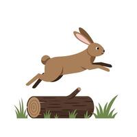 Brown rabbit jumping over log with grass on white background illustration vector
