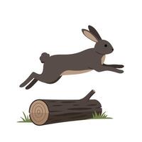 Brown rabbit jumping over wooden log in natural outdoor setting with grass on white background vector