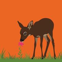 Deer grazing on grass with pink flower against bright orange background in square format illustration vector