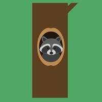 Raccoon peeking from tree hollow in green forest background digital illustration with simple shapes and colors vector