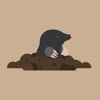 Mole emerging from soil in simple flat design with brown background and pink nose natural wildlife illustration vector