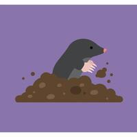 Mole Animal Emerging from Dirt Pile on Purple Background Simple Flat Design Illustration vector