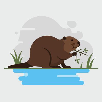 Beaver eating branch by riverbank with grass and water in natural habitat wildlife scene illustration