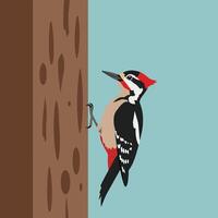 Woodpecker perched on tree trunk with red, black, and white feathers against clear blue sky background vector