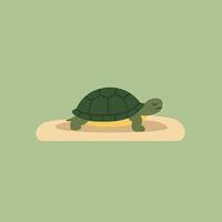 Turtle resting peacefully on sand with green background in simple minimalist style illustration vector