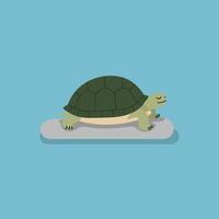 Turtle resting peacefully on flat surface with blue background simple nature illustration vector
