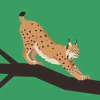 Eurasian lynx stretching on tree branch with green background in art style vector