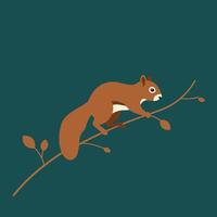 Red squirrel climbing on bare brown branch with green background simple illustration vector