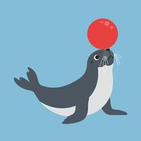 Seal balancing red ball on nose playful marine animal illustration with blue background art vector