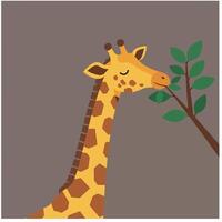 Giraffe eating leaves from tree branch in simple colorful illustration with brown background vector