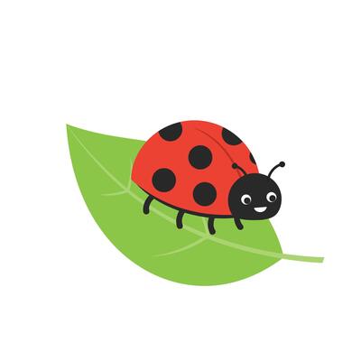 Ladybug on bright green leaf illustration with red and black colors smiling insect cartoon design