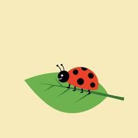 Ladybug sitting on green leaf simple illustration with beige background and red and black colors vector
