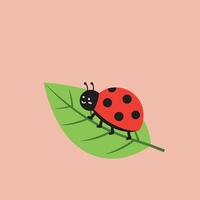 Ladybug on green leaf simple illustration with soft pink background for nature and insect themes vector