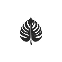 Modern Monstera Leaf logogo Graphic Template with Clean Style vector