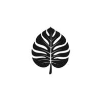 Minimalist Monstera Leaf logogo Graphic Template in HD Quality vector