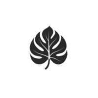 Soft Monstered Leaf logo Graphic Template on White Background vector